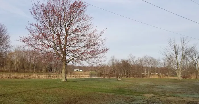 Village Green Campground Picture 9