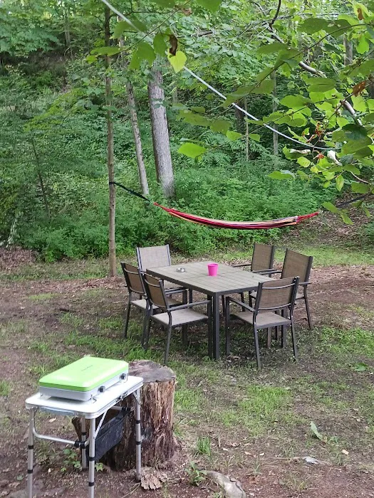 Harmony Ridge on the River Picture 6