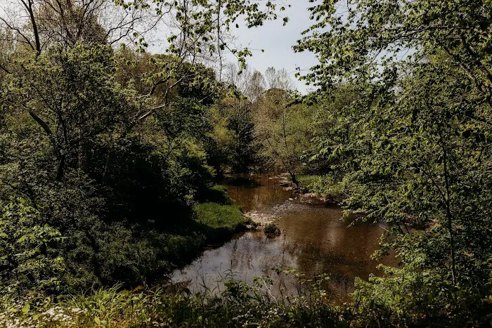 Harmony Ridge on the River Picture 8