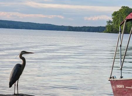 Pymatuning State Park Campground