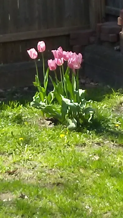 Oaks Mobile Home Park Picture 9