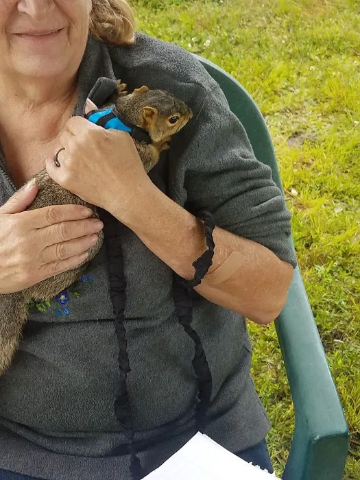 Wildwood Acres Picture 2
