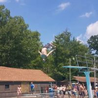 Wildwood Acres ico