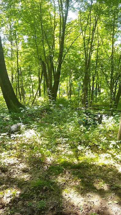 Flying Finn Family Campground Picture 7