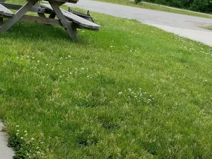 Soaring Eagle Hideaway RV Park Picture 10