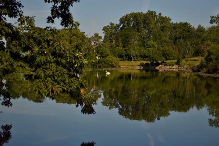 Evergreen Village Picture 2
