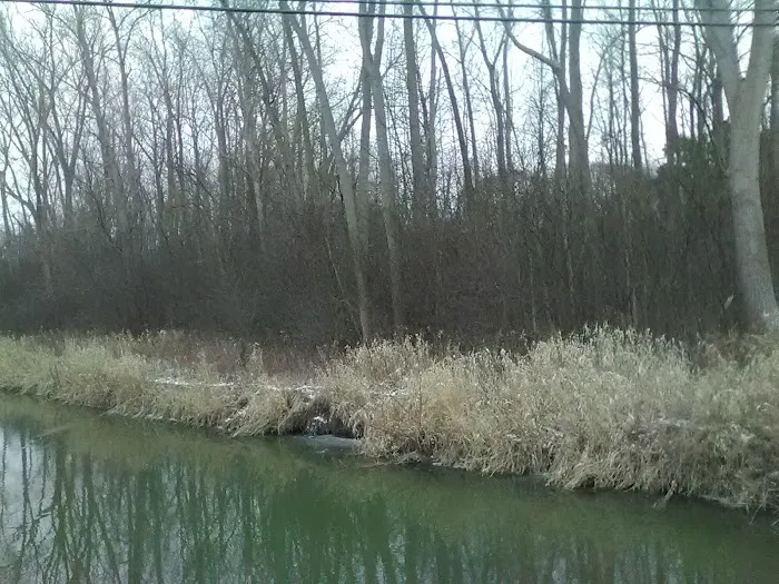 Evergreen Village Picture 8