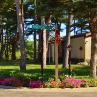 Evergreen Village ico