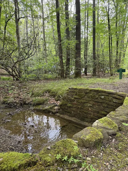 Seven Mile Campground Picture 3