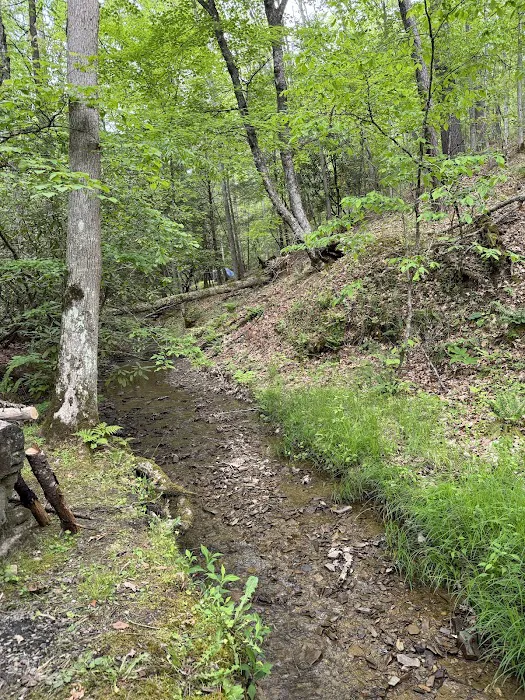 Seven Mile Campground Picture 9