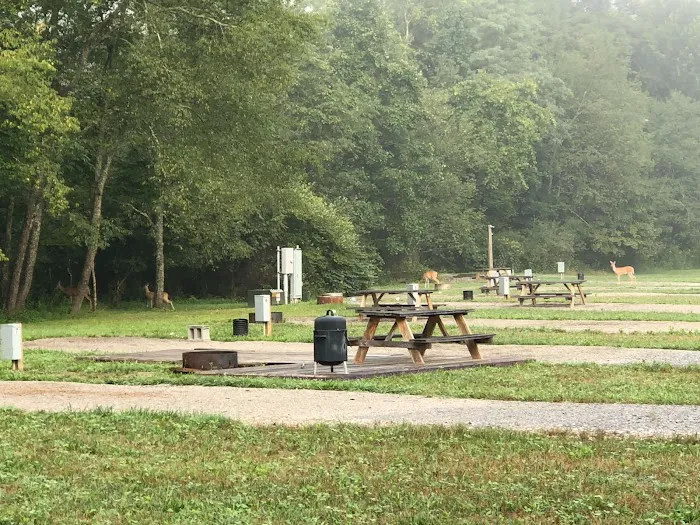 Hollybrook Farm Campground Picture 6