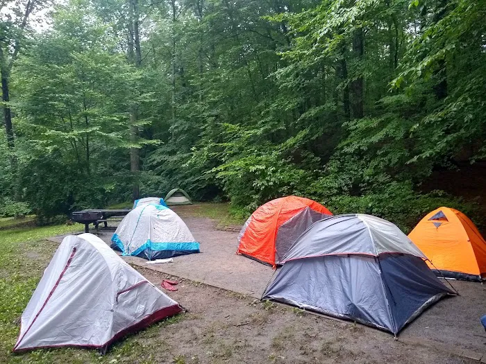 Hopper Creek Group Campground Picture 7