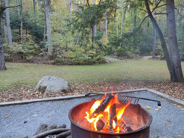 Cave Mountain Lake Campground Picture 8