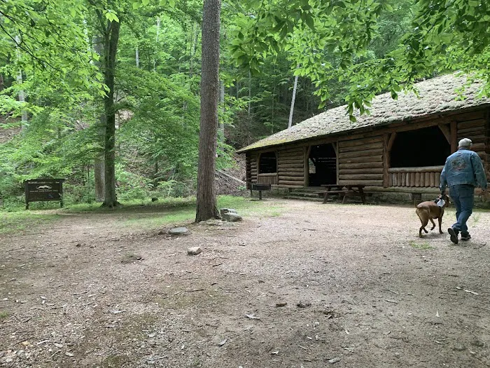 Cave Mountain Lake Campground Picture 1