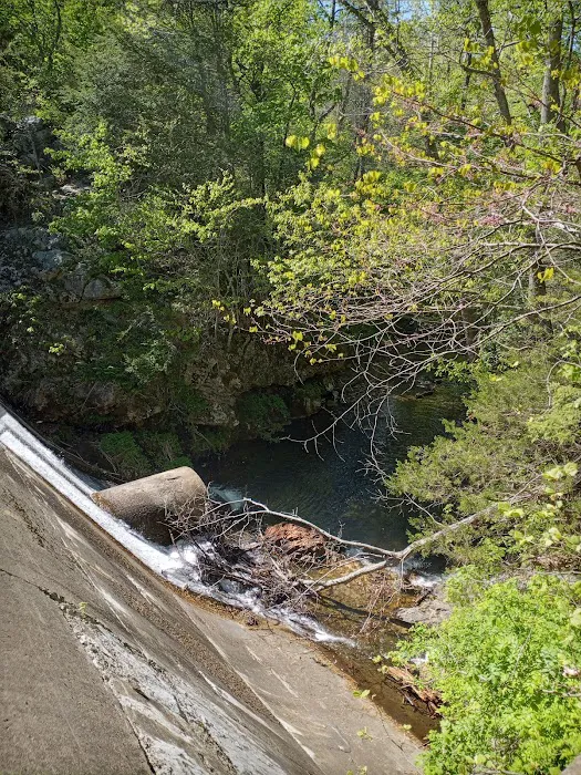 Cave Mountain Lake Campground Picture 6