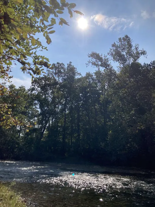 Peaceful River Campground Picture 6