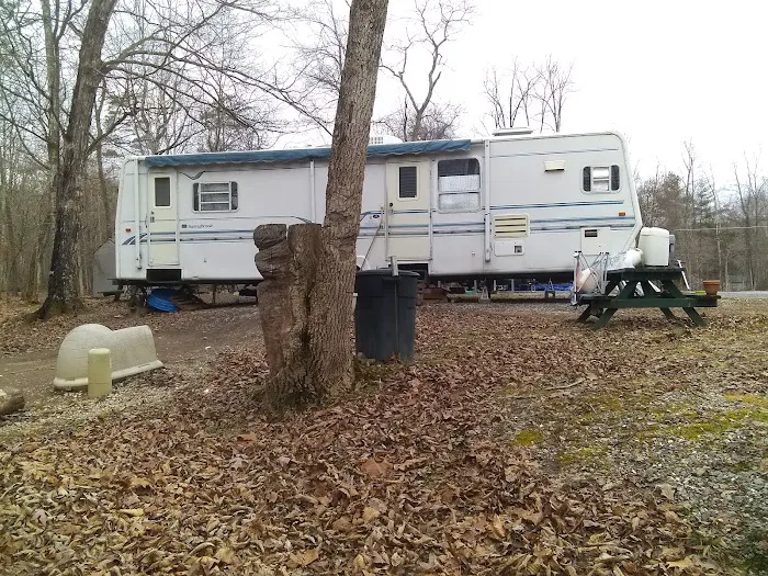 Buckhorne Country Store and Campground Picture 6