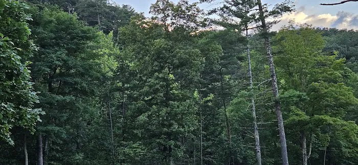 Whispering Pines Campground Picture 4