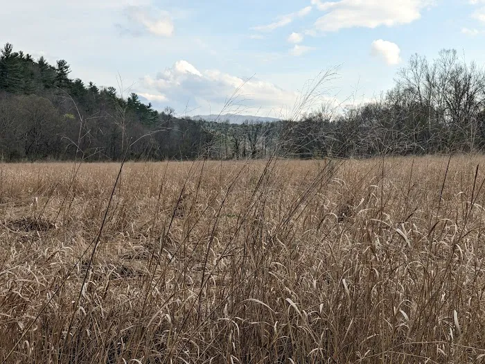 Hidden Valley Campground Picture 10