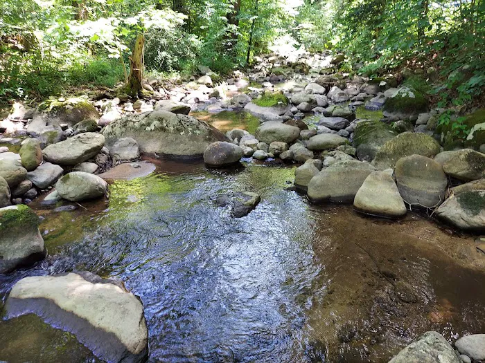 North Creek Campground Picture 8