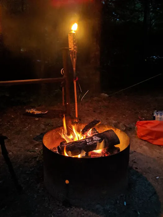 North Creek Campground Picture 6