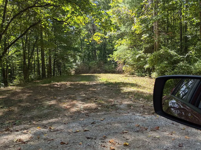 Colon Hollow Shelter Campground Picture 1