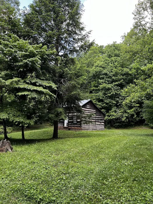Colon Hollow Shelter Campground Picture 4