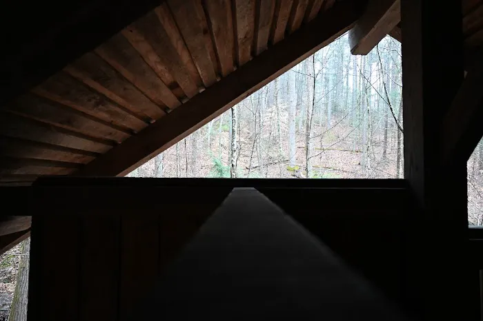 Bryant Ridge Shelter Picture 3