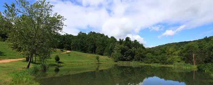 Middle Creek Campground Picture 3