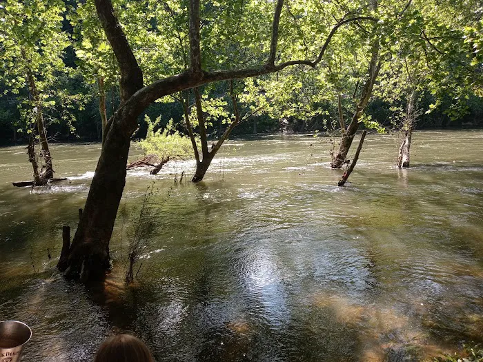 Breeden Bottom Campground Twin River Picture 1