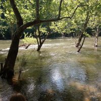 Breeden Bottom Campground Twin River ico