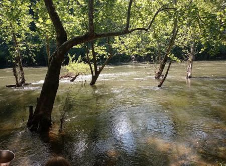 Breeden Bottom Campground Twin River