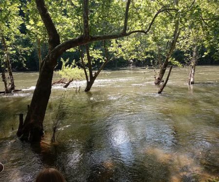 Breeden Bottom Campground Twin River
