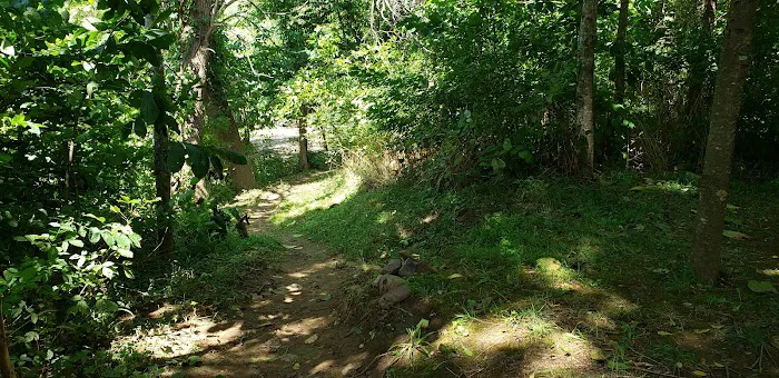 Breeden Bottom Campground Twin River Picture 5