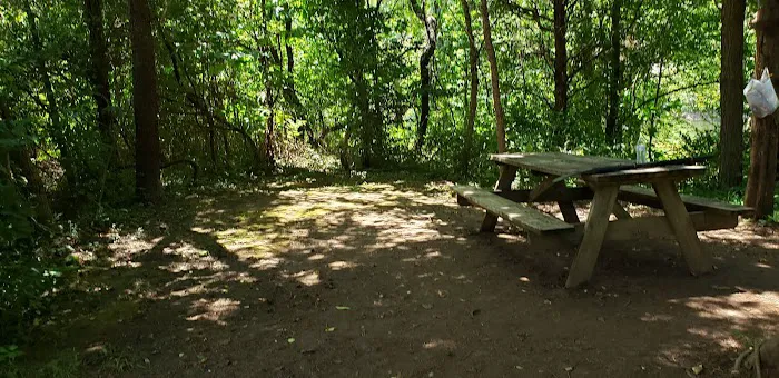 Breeden Bottom Campground Twin River Picture 2