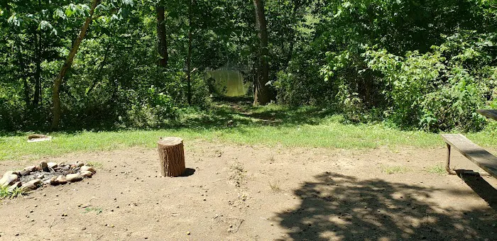 Breeden Bottom Campground Twin River Picture 10