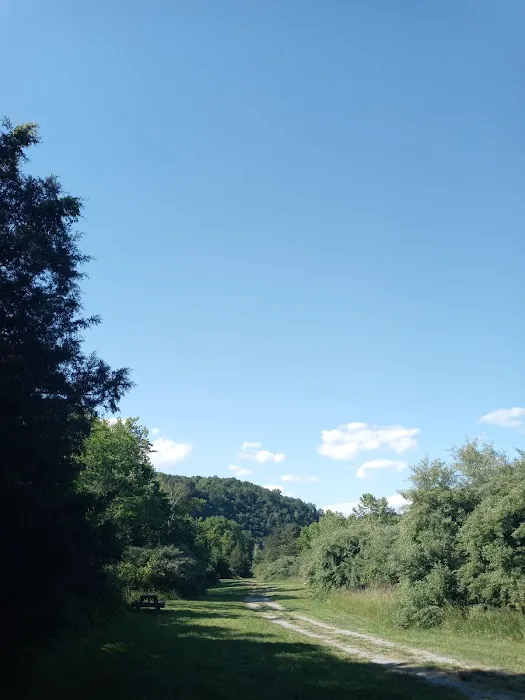 Breeden Bottom Campground Twin River Picture 8