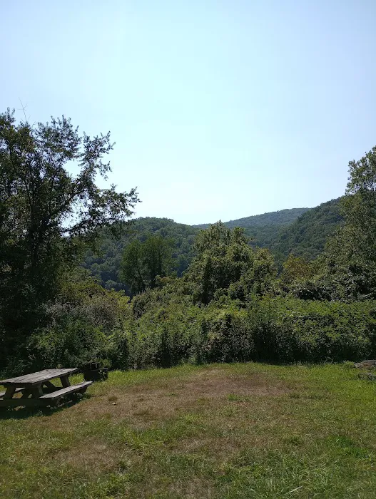 McClintic Point Primitive Campground Picture 8