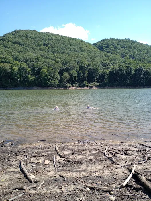 McClintic Point Primitive Campground Picture 7