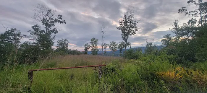 McClintic Point Primitive Campground Picture 4
