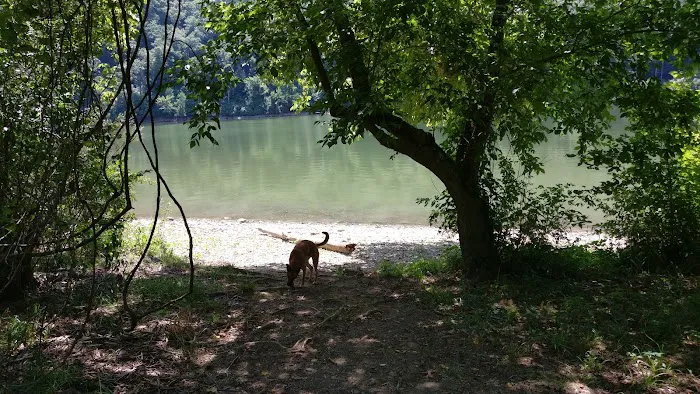 McClintic Point Primitive Campground Picture 1