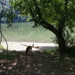 McClintic Point Primitive Campground