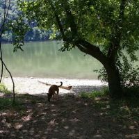 McClintic Point Primitive Campground ico