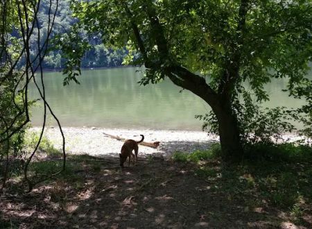 McClintic Point Primitive Campground