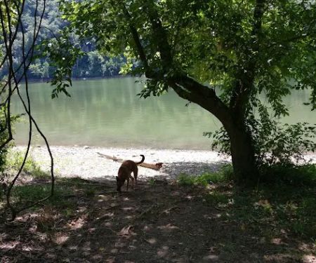 McClintic Point Primitive Campground