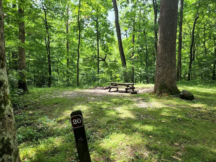 Blowing Springs Campground Picture 8