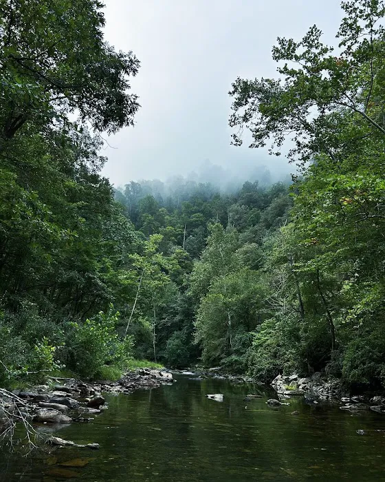 Blowing Springs Campground Picture 1