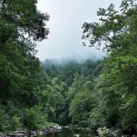 Blowing Springs Campground ico