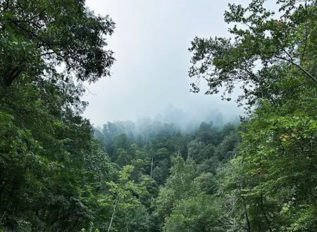 Blowing Springs Campground