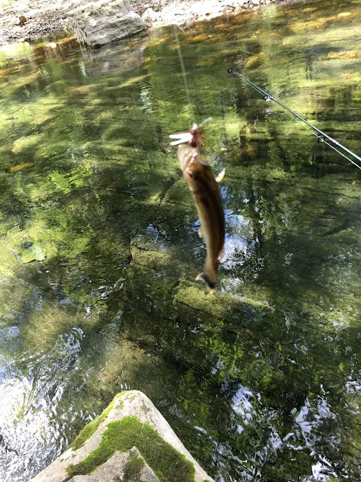 Blowing Springs Campground Picture 4